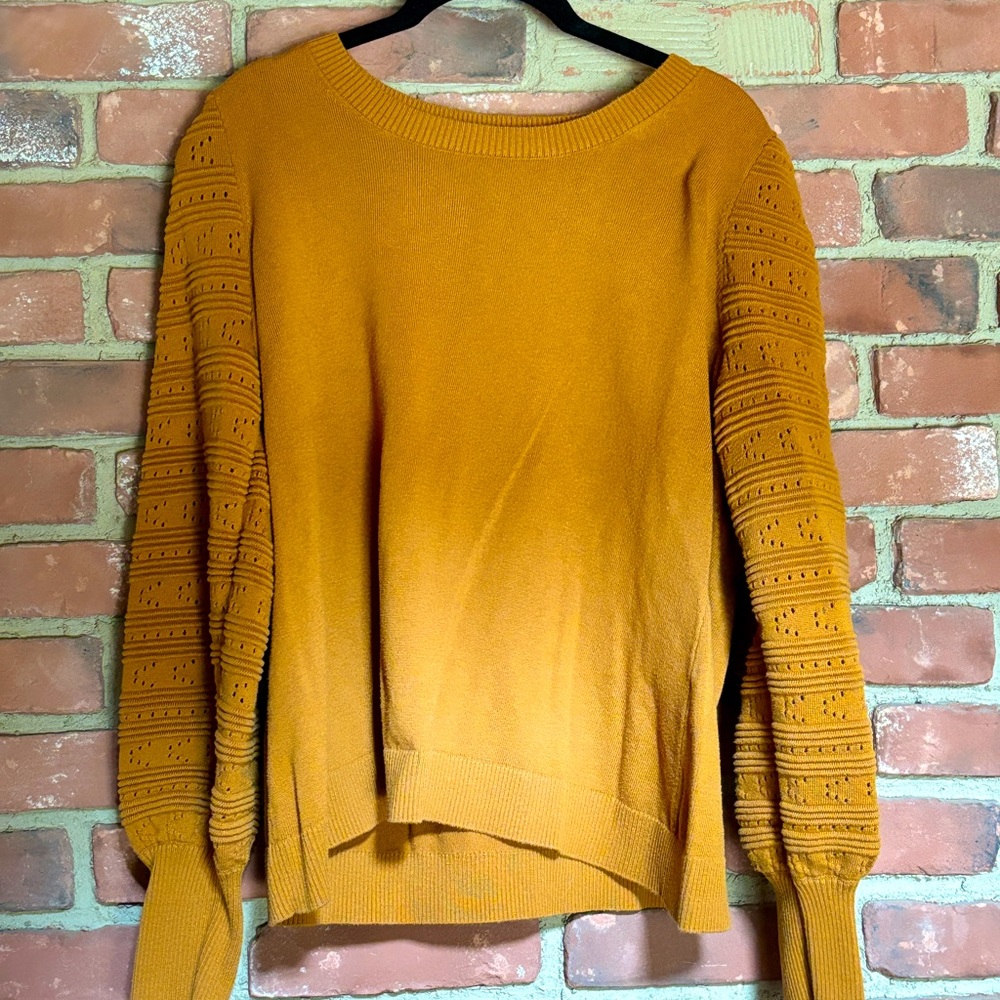 XL Mustard Market & Spruce Sweater